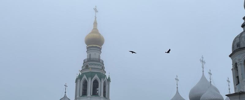портал 
