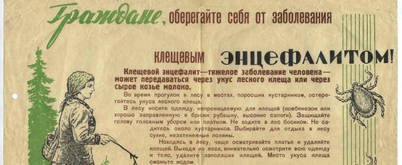 Вологодская область вновь в числе регионов с наибольшим количеством обращений из-за укусов клещей