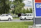 Вологда-поиск