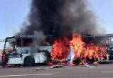 официальный телеграм-канал губернатора Запорожской области