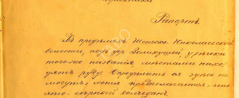 Донесение Никольского уездного исправника 1884 г. ГАВО. Ф. 18. Оп. 1. Д. 2448. Л. 4
