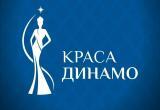 В Вологде выберут &laquo;Красу Динамо&raquo;: победительницу ждут корона, фотосессия и признание болельщиков