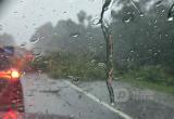 Фото: "Вологда-поиск", ураган в Ярославской области 12/07/26