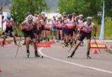 Федерация по лыжным гонкам Вологодской области