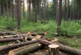 изображение сгенерировано ИИ 