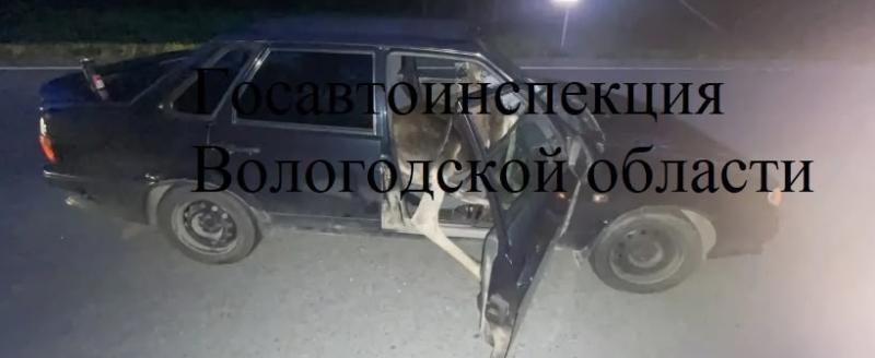 Госавтоинспекция Вологодской области