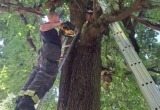 комитет правопорядка и безопасности Ленобласти
