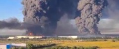Фото, скриншот видео из соцсетей