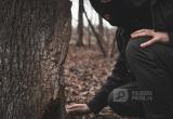 Фото:Вологда-поиск