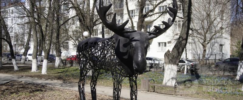 Фото: Никита Трушков / Вологда-Поиск
