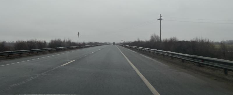 Фото Тимура Бойкова/Вологда-Поиск