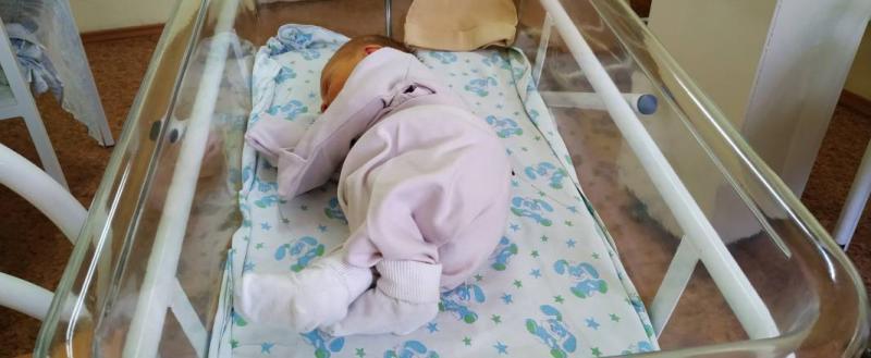 фото: пресс-служба правительства Вологодской  области