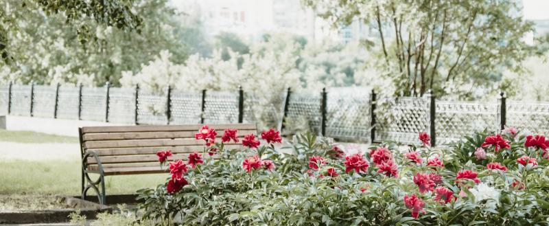 Фото Тимура Бойкова/Вологда-Поиск
