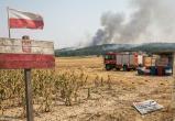 Фото сгенерировано ИИ Nano Babana