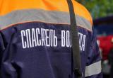 Фото: Сергей Жестянников/ВК