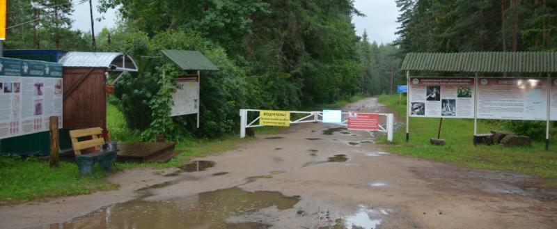 Фото: НП Русский Север
