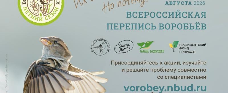 Вологжан приглашают принять участие во Всероссийской переписи воробьёв
