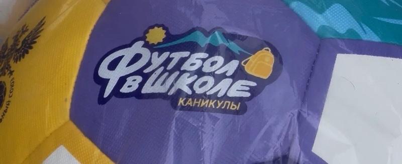 Денис Дворников