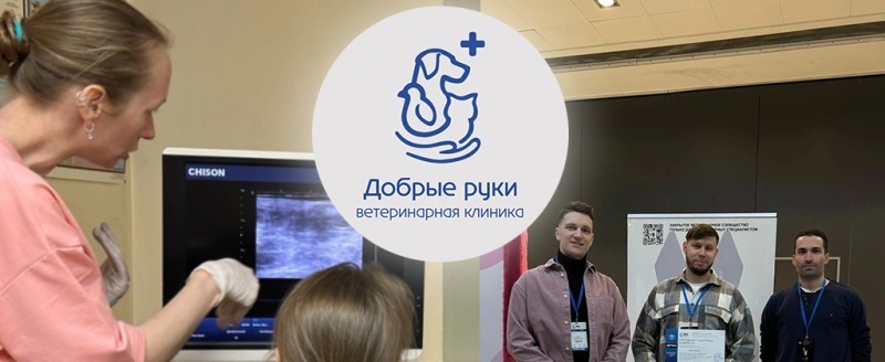 Здоровье вашего питомца &mdash; в надёжных и добрых руках