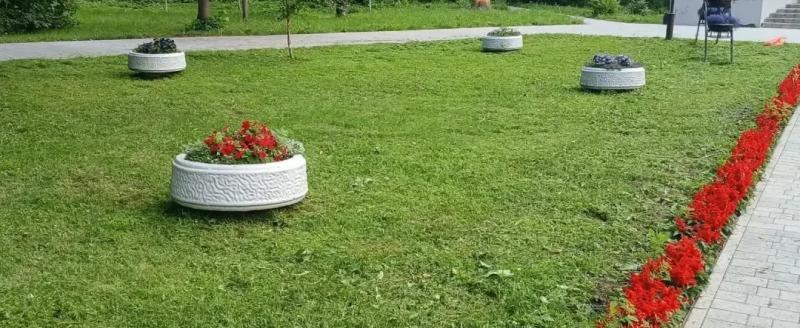 Фото пресс-службы правительства Вологодской области