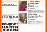 ПСО "ЛизаАлерт"