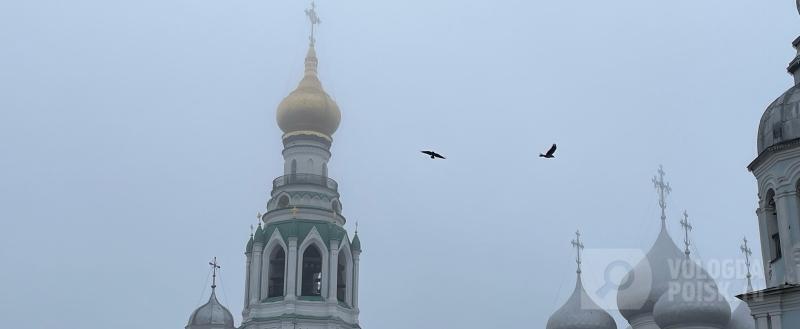 Фото: Вологда-поиск