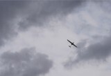&laquo;Junge Welt&raquo;: &laquo;Британия хорохорится и играет с огнём&hellip;&raquo;