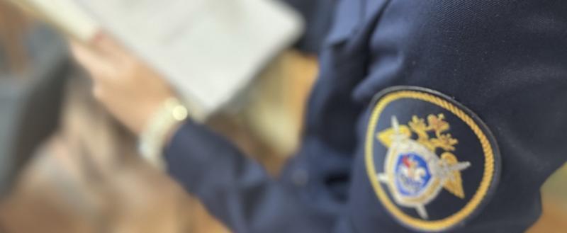 пресс-служба СУ СК РФ по Вологодской области