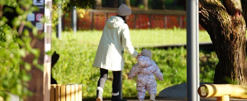 Вологда-поиск