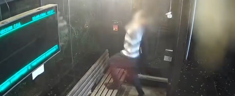 скриншот видео со страницы Сергея Жестянникова в соцсети 