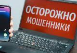 Фото: "Вологда-поиск"