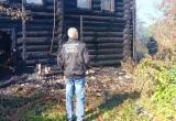 Фото: следственный комитет