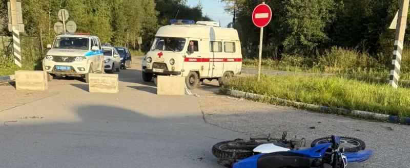 Фото: УМВД России по Вологодской области