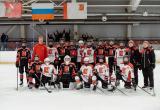 Спортивная школа по ледовым видам спорта