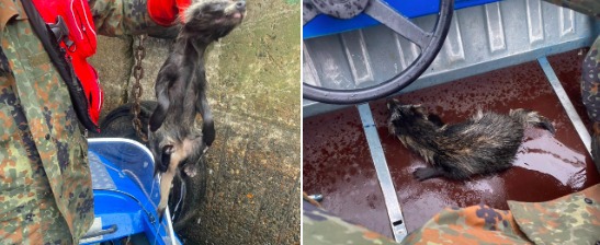 Фото: Спасатели Череповца