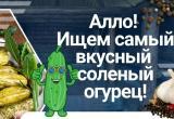 Фото: Фонд "Соль Тотемская"