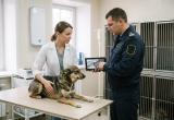изображение сгенерировано с помощью нейросети