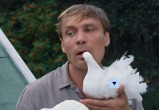 скриншот видео фильма "Любовь и голуби"