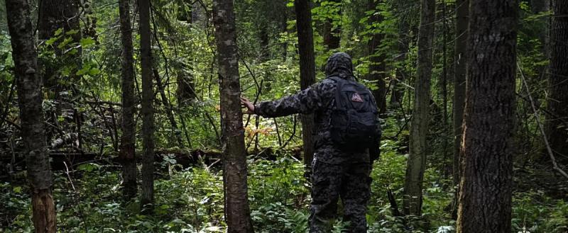 Фото: пресс-служба ГУ МЧС России по Вологодской области