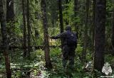 Фото: пресс-служба ГУ МЧС России по Вологодской области