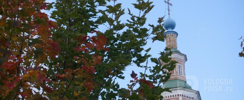 Вологда-поиск, фото Никиты Трушкова