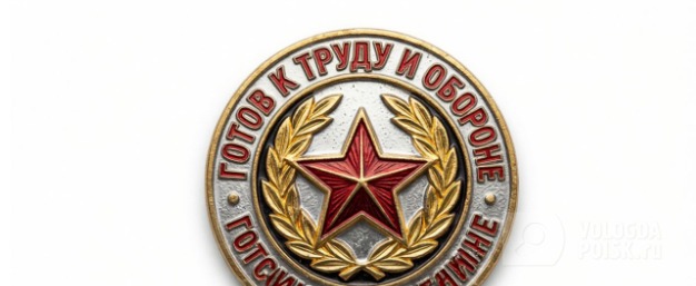 Вологда-поиск