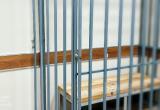 Фото: Пресс-служба судов Вологодской области