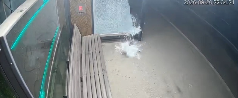 ВК Сергей Жестянников