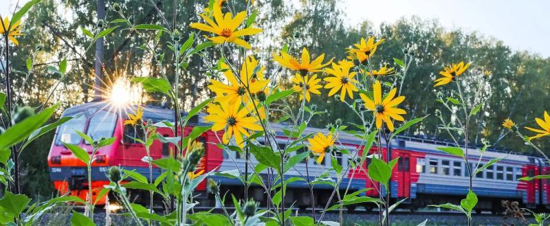 В июне-августе пригородными поездами на Северной железной дороге перевезено около 2,4 млн пассажиров