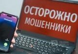 Фото: "Вологда-поиск"