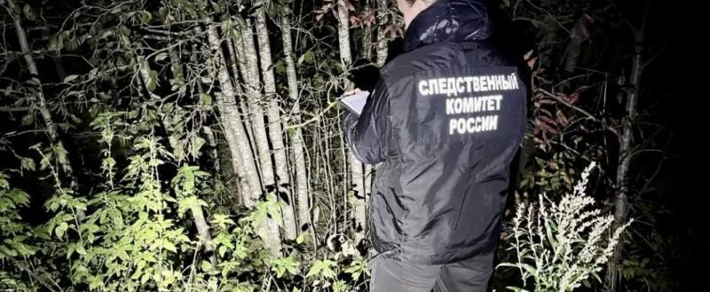 Фото: СУ СК РФ по Вологодской области