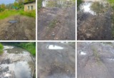 Фото: Сокольский сплетни
