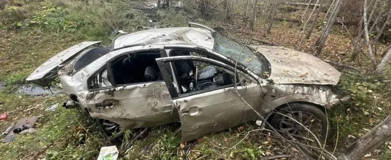 Фото: УМВД России по Вологодской области