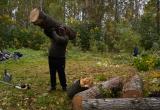 Более 700 человек приняли участие в общегородском субботнике в Вологде